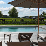 Ljuvlig utsikt från relaxområdet med pool i förgrunden till hästhagen, vår kund vill gärna inspirera